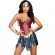 Hero Costumes Amazon Princess Costume