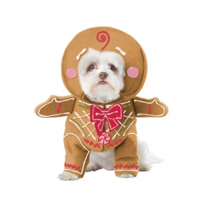 Pet Halloween Costumes Wholesale Gingerbread Pup Dog Costume Wholesale from China Manufacturer Directly