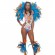 Blue bird Carnival Costume
