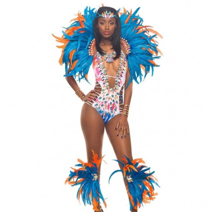 Party Costumes Wholesale Blue bird Carnival Costume from China Manufacturer Directly