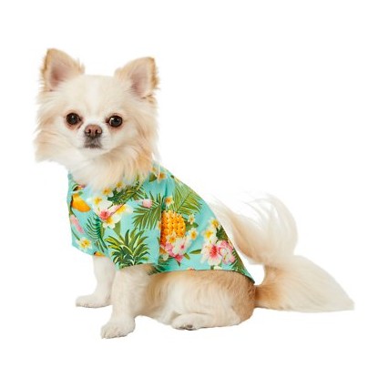 Pineapple Hawaiian Camp Dog & Cat Shirt