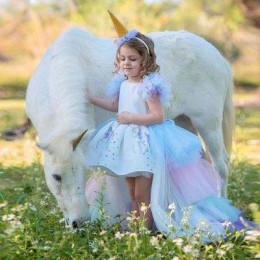 2020 Summer Kids Sleeveless Rainbow Princess Birthday Party Unicorn Puffy Dress With Headband DJS100