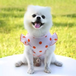 High Quality Breathable Comfortable Pet Vest Cartoon Shape Bear Pocket Dog Clothes