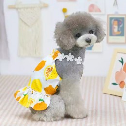 Hot Selling Summer Dog dress Fashion Pet Clothing Lemon Pattern Pet Skirt