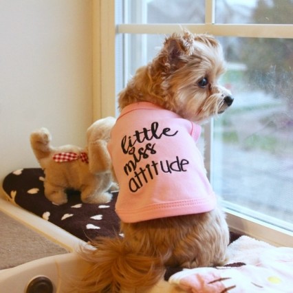 Little Miss Attitude Dog T-Shirt