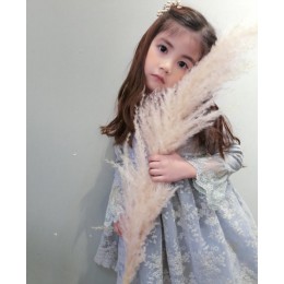 Girls Dress Autumn Clothes For Girl Tutu Lace Dresses Kids Children Clothing Teens 5 6 years Party Princess Ball Grown Costumes