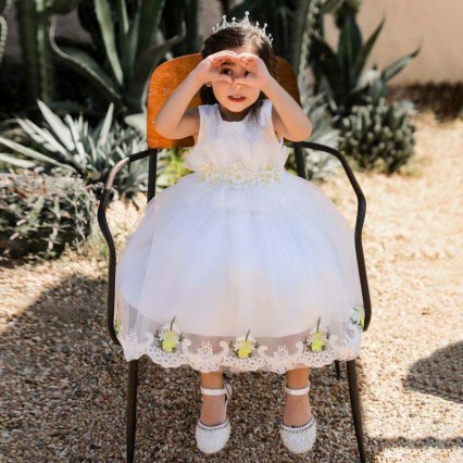 BAIGE Appliqued Embroidery Flowers 2022 hot girls selling clothes party dress for girl BAIGE Appliqued Embroidery Flowers 2022 hot girls selling clothes party dress for girl