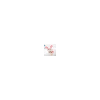Factory Outlet Autumn and Winter Dog Coral Fleece Rabbit Halloween Transformation Small Dog Four-legged Cat Pet Clothes Factory Outlet Autumn and Winter Dog Coral Fleece Rabbit Halloween Transformation Small Dog Four-legged Cat Pet Clothes