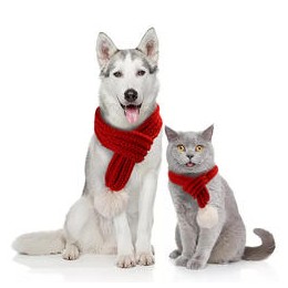Manufacturer Pet Costume New Year Scarf Hat Cute Headdress Cat Puppy Christmas Clothes