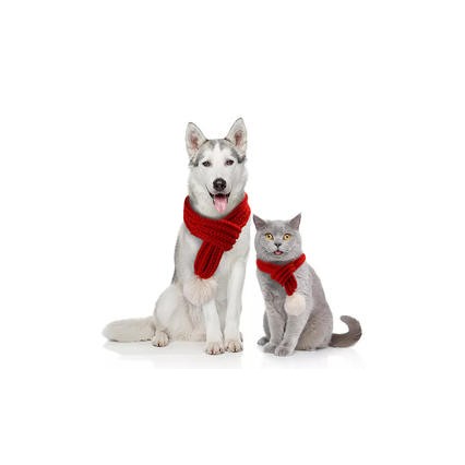 Manufacturer Pet Costume New Year Scarf Hat Cute Headdress Cat Puppy Christmas Clothes