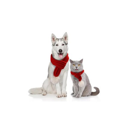 Manufacturer Pet Costume New Year Scarf Hat Cute Headdress Cat Puppy Christmas Clothes Manufacturer Pet Costume New Year Scarf Hat Cute Headdress Cat Puppy Christmas Clothes