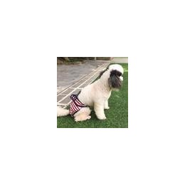 Amazon Hot Sale Soft Puppy Physiological Pants Eco-friendly Dog Diaper Reusable Multi Color Pet Underwear Pants