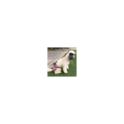 Amazon Hot Sale Soft Puppy Physiological Pants Eco-friendly Dog Diaper Reusable Multi Color Pet Underwear Pants Amazon Hot Sale Soft Puppy Physiological Pants Eco-friendly Dog Diaper Reusable Multi Color Pet Underwear Pants