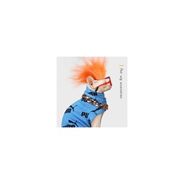 2021 Pet Supplies Wholesale Multi colors Halloween Puppy Cat Wig Cute Funny artificial hair Decoration Pet Funny Party Hats  2021 Pet Supplies Wholesale Multi colors Halloween Puppy Cat Wig Cute Funny artificial hair Decoration Pet Funny Party Hats
