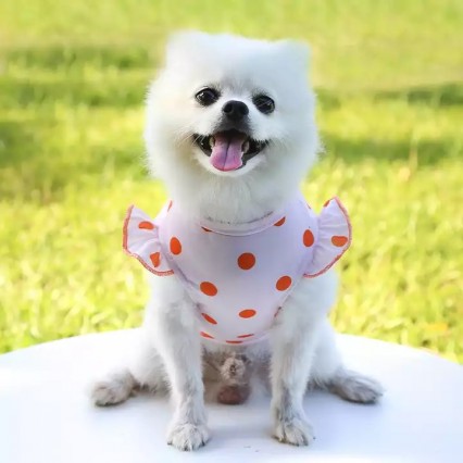 High Quality Breathable Comfortable Pet Vest Cartoon Shape Bear Pocket Dog Clothes High Quality Breathable Comfortable Pet Vest Cartoon Shape Bear Pocket Dog Clothes