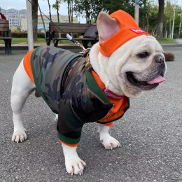 Hot Selling Reflective Warm Dog Clothes Comfortable Pet Vest