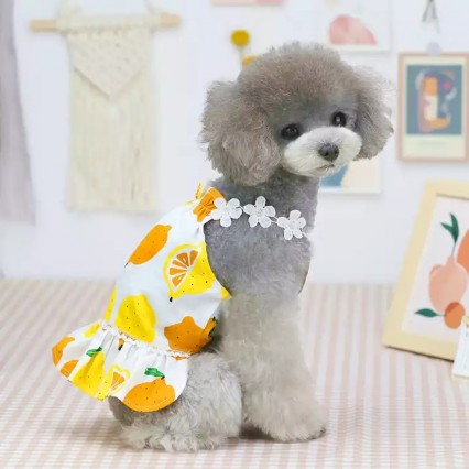 Hot Selling Summer Dog dress Fashion Pet Clothing Lemon Pattern Pet Skirt Hot Selling Summer Dog dress Fashion Pet Clothing Lemon Pattern Pet Skirt