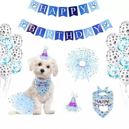 sphynx cat clothes amazon sam and cat clothes sphynx cat clothes australia sewing patterns for cat clothes small cat clothes  sphynx cat clothes amazon sam and cat clothes sphynx cat clothes australia sewing patterns for cat clothes small cat clothes