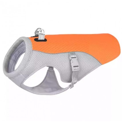 top cat clothes target jack and cat clothes cat clothes usa cat clothes uae cat clothes unicorn cat clothes underwear top cat clothes target jack and cat clothes cat clothes usa cat clothes uae cat clothes unicorn cat clothes underwear