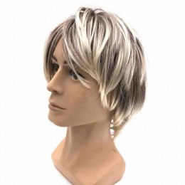 Blonde wigs Synthetic Heat Resistant Fiber Brown and Gray wigs Cosplay party Wig for man  Blonde wigs Synthetic Heat Resistant Fiber Brown and Gray wigs Cosplay party Wig for man