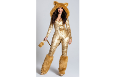 Angel Costume Supplier Angel Costume Supplier
